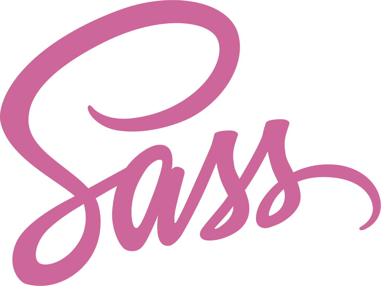 SCSS SCSS